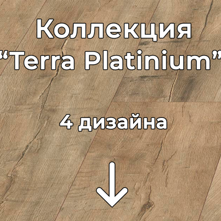 Без имени-2