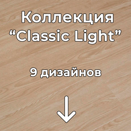 Без имени-2