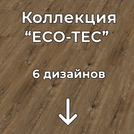 Без имени-2