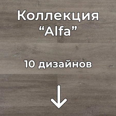 Без имени-2