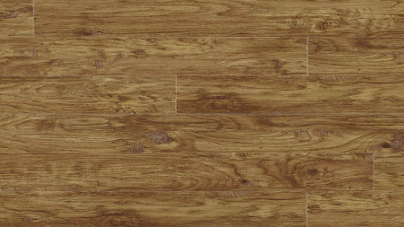 eastern-hickory-57422-11200-32738