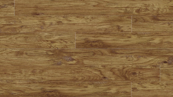 eastern-hickory-57422-11200-32738