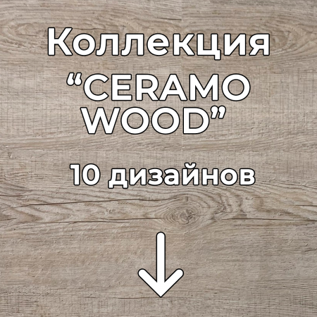 Без имени-2