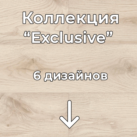 Без имени-2