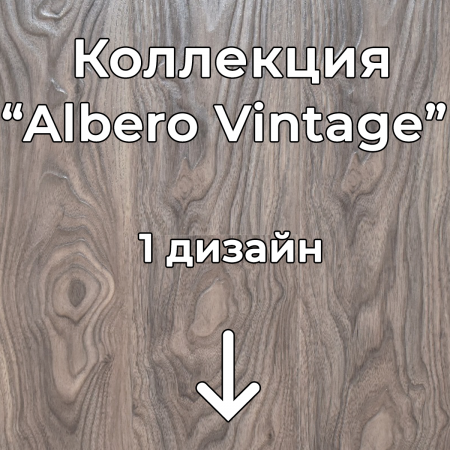 Без имени-2