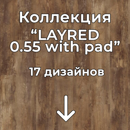 Без имени-2