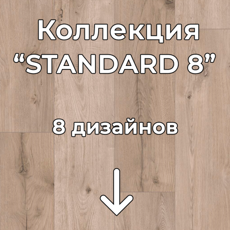 Без имени-2