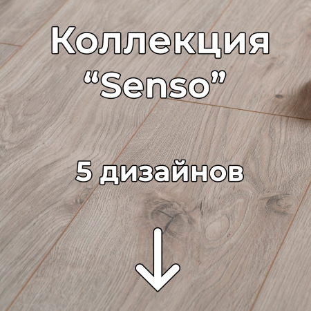 Без имени-2