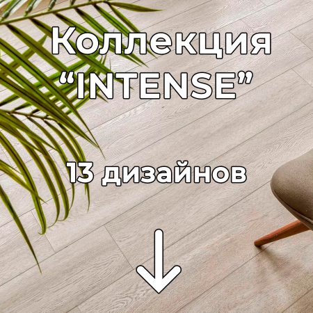 Без имени-2