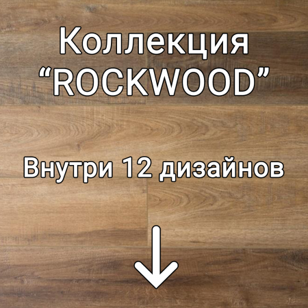 Без имени-2