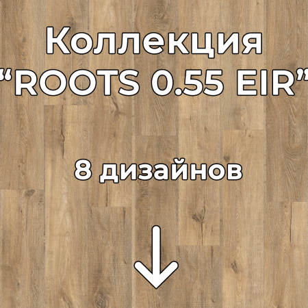 Без имени-2