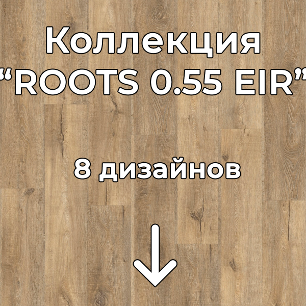 Без имени-2