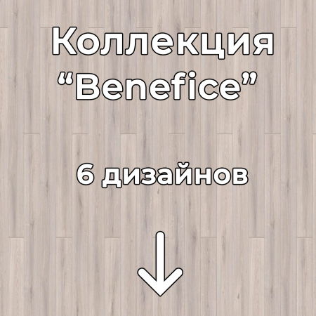 Без имени-2