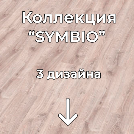 Без имени-2