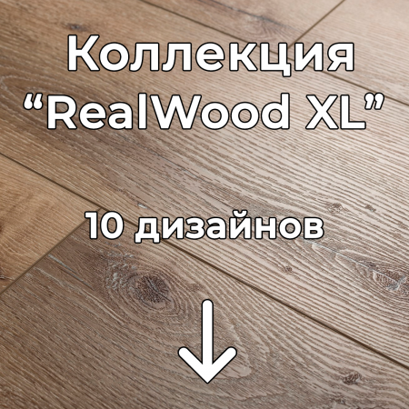 Без имени-2