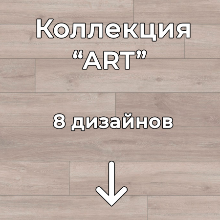 Без имени-2