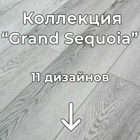 Без имени-2