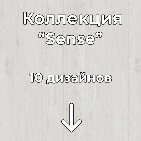Без имени-2