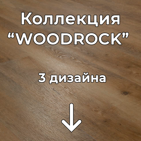Без имени-2