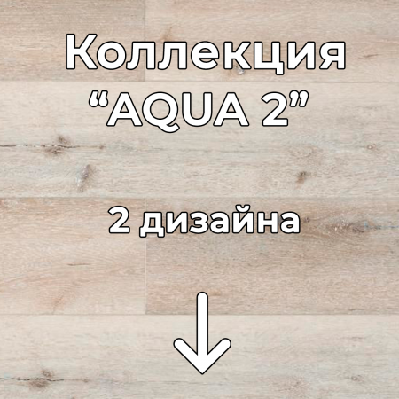 Без имени-2
