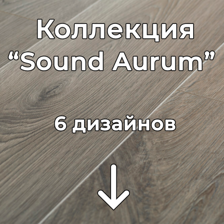Без имени-2