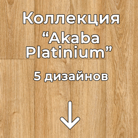 Без имени-2