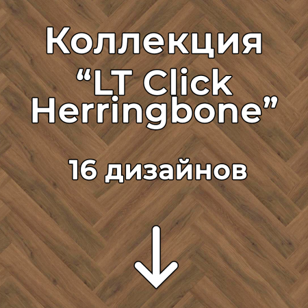 Без имени-2