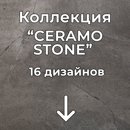Без имени-2