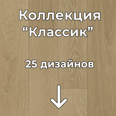 Без имени-2