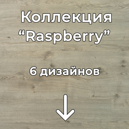 Без имени-2