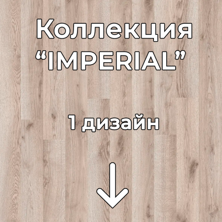 Без имени-2