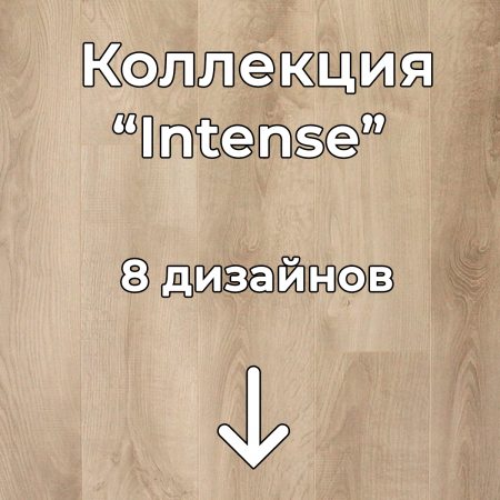 Без имени-2