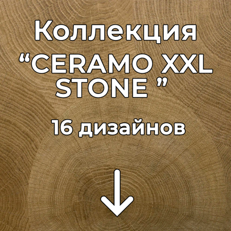 Без имени-2