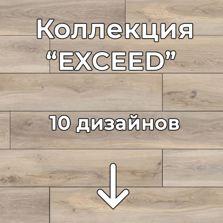 Без имени-2