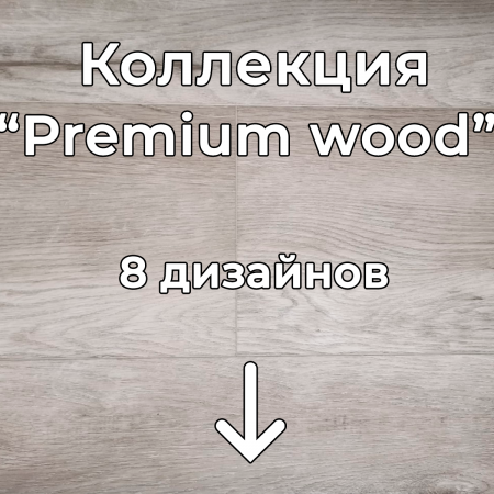 Без имени-2