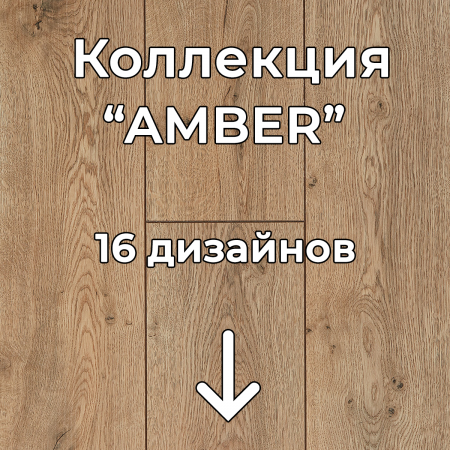 Без имени-2