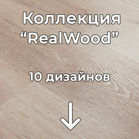 Без имени-2