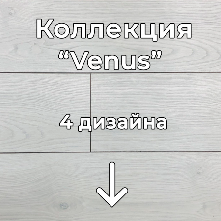 Без имени-2