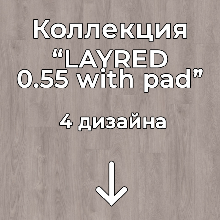 Без имени-2