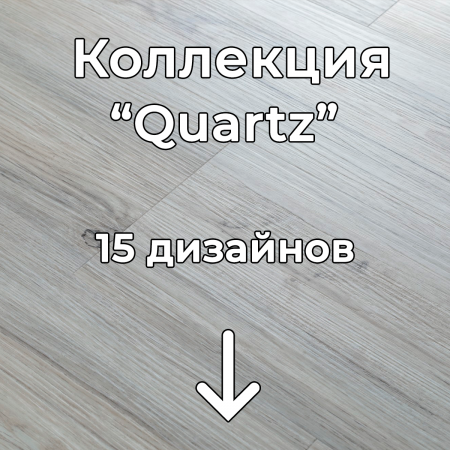 Без имени-2