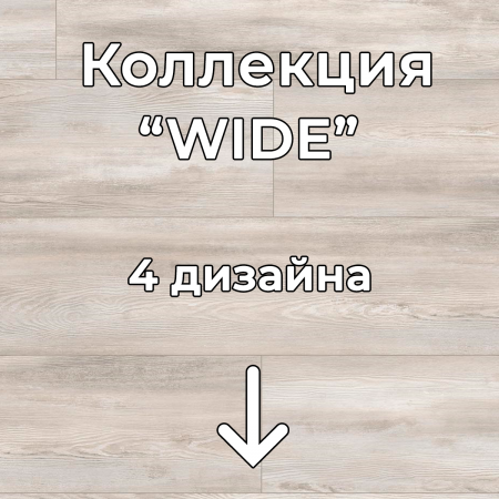 Без имени-2