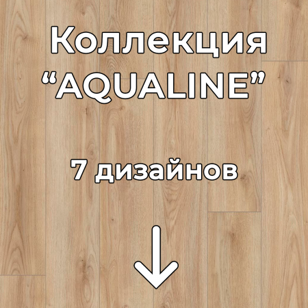 Без имени-2