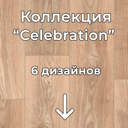 Без имени-2