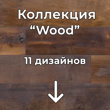 Без имени-2